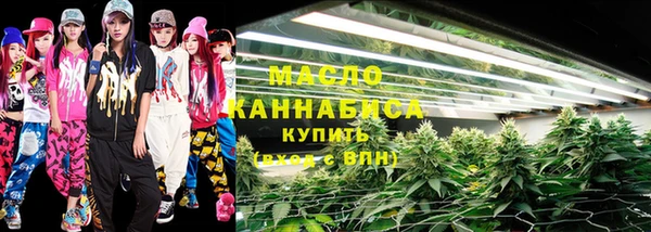 индика Нефтекумск