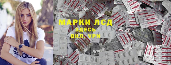 индика Нефтекумск
