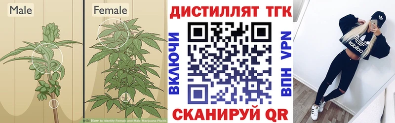 ТГК THC oil  hydra зеркало  Электроугли  дарнет шоп 